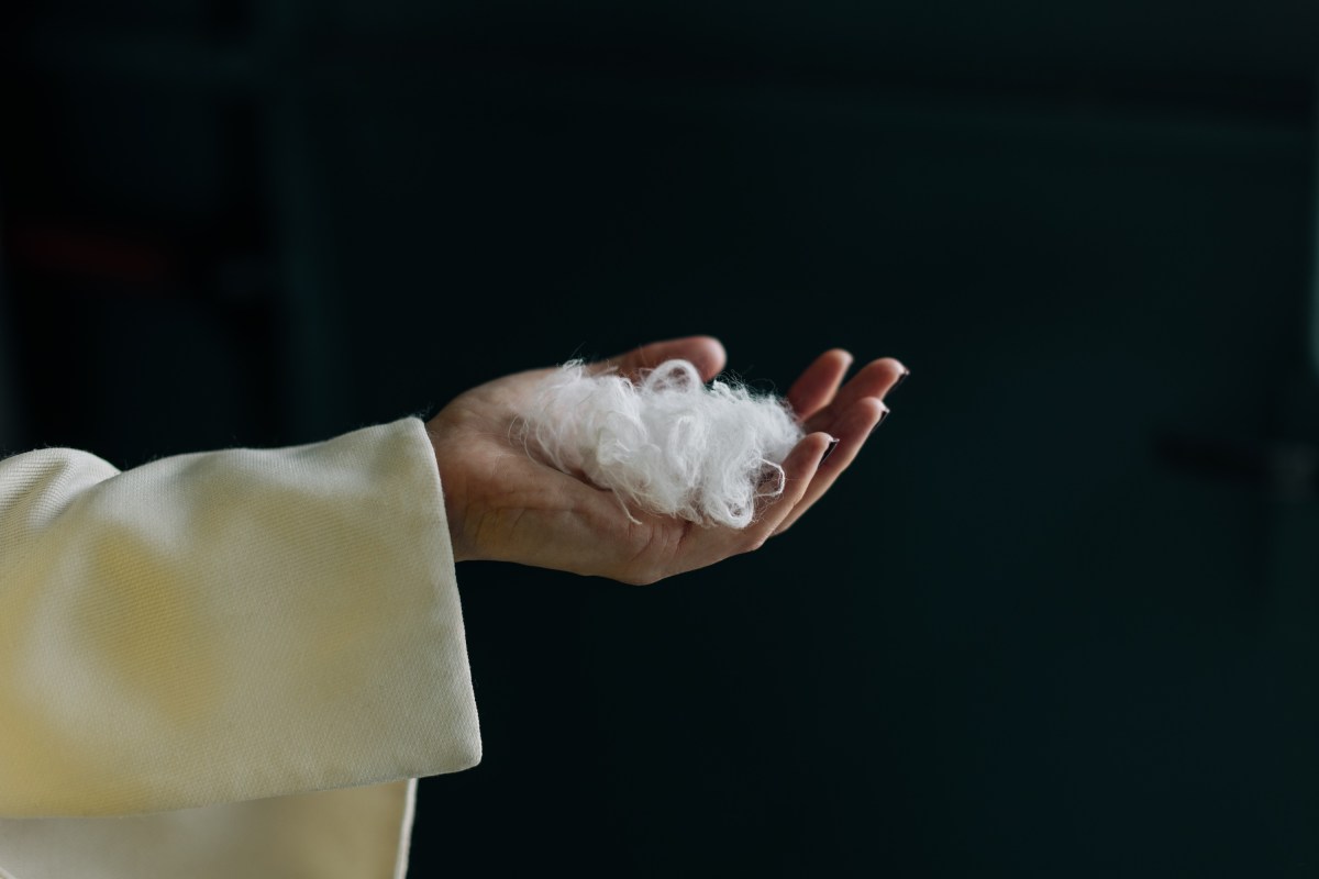 ایوربلوم هوش مصنوعی ساخت که پر مرغ را به کشمیری تبدیل می‌کند